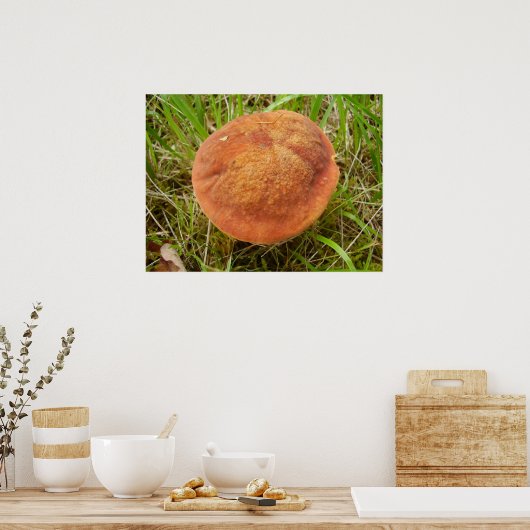 Poster du champignon Ruby Bolete (Cuisine)