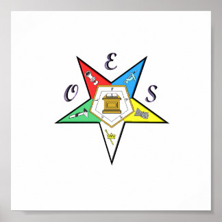 Poster du chapitre OES