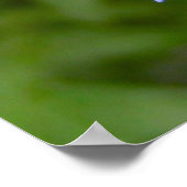 Poster du chardon du monde (Coin)