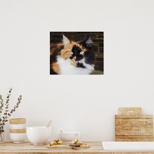 Poster du chat Calico (Cuisine)