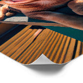 Poster du chat en haut du condo portant des lunett (Coin)