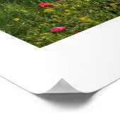 Poster du Château d'Amboise (Coin)