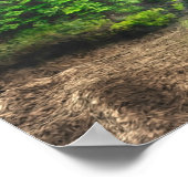 Poster du château de Dragon (Coin)