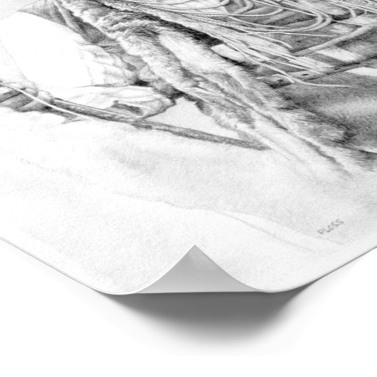 Poster du chef Joseph (Coin)