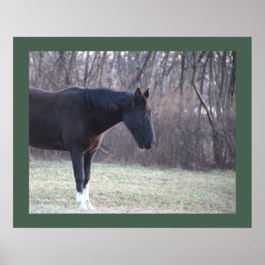 Poster du cheval (Devant)