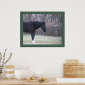 Poster du cheval (Cuisine)