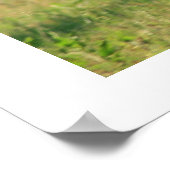 Poster du cheval à galop Imprimer (Coin)