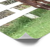 Poster du cheval : American Saddlebred Grading (Coin)