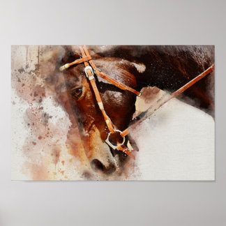 Poster du cheval aquarelle
