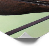 Poster du Cheval Arabe blanc sur le visage (Coin)