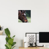 Poster du Cheval Arabe blanc sur le visage (Bureau à domicile)