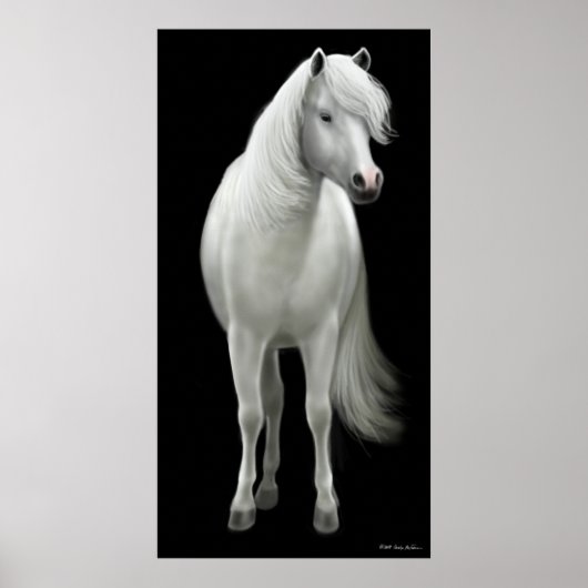 Poster du Cheval Blanc Sauvage (Devant)