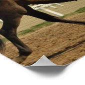 Poster du cheval de course Thoroughbred Imprimer (Coin)