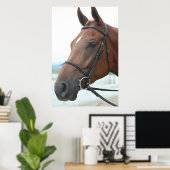 Poster du Cheval du Quartier (Bureau à domicile)