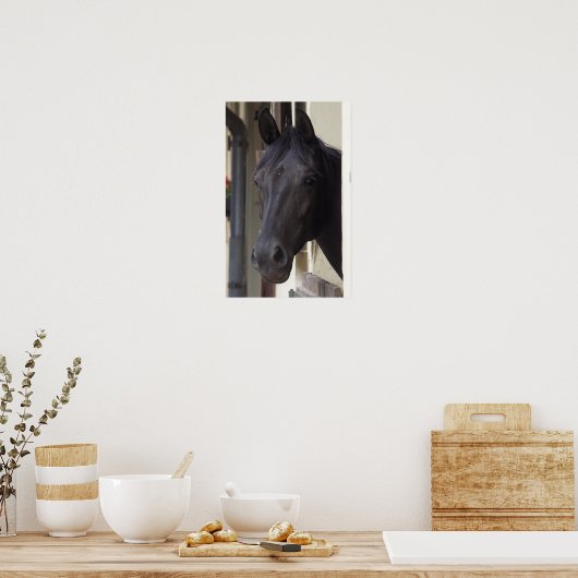 Poster du cheval Friesen Thoroughbred (Cuisine)