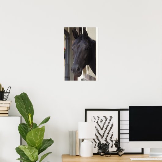 Poster du cheval Friesen Thoroughbred (Bureau à domicile)