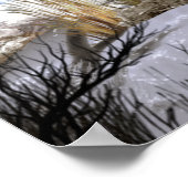 Poster du cheval Gypsy Vanner (Coin)