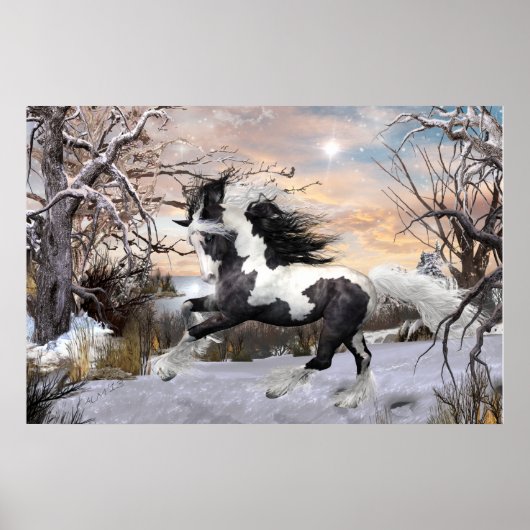 Poster du cheval Gypsy Vanner (Devant)