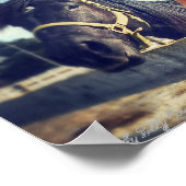 Poster du cheval : "Hey Girl." (Coin)