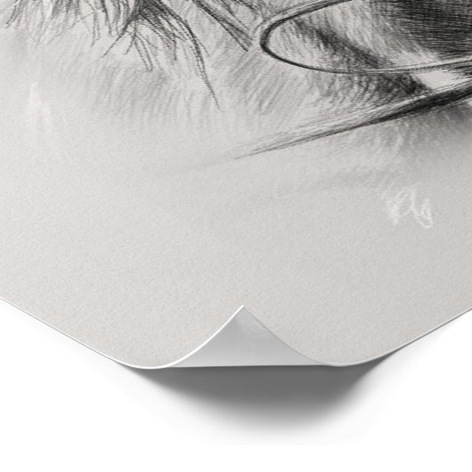 Poster du cheval : Majestic Power on Display (Coin)