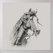 Poster du cheval : Majestic Power on Display (Devant)