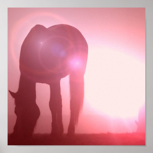 Poster du cheval Silhouette Imprimer (Devant)