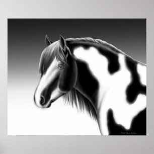 Poster du Cheval Tzigane Vanner Pinto