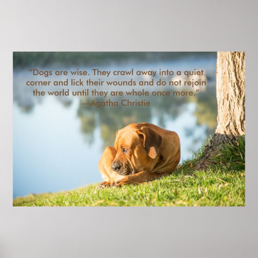 Poster du chien Boerboel avec Citation Inspiration (Devant)