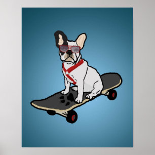 Poster du Chien de Chien de Skateboard