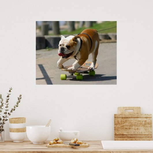 Poster du chien de patinage (Cuisine)