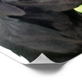 Poster du chien du Labrador Retriever Imprimer (Coin)