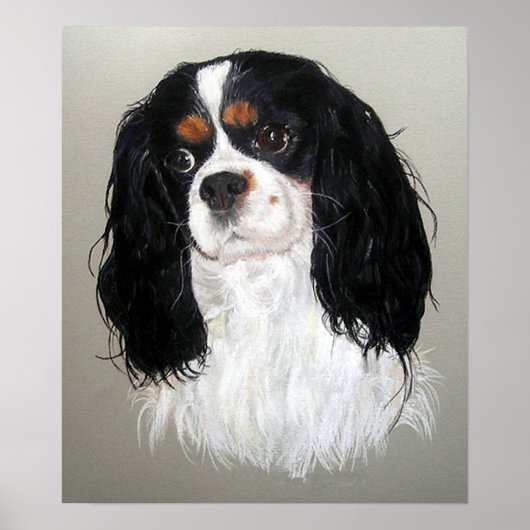 Poster du chien espagnol Cavalier King Charles Imp (Devant)