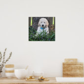 Poster du chien Goldendoodle (Cuisine)