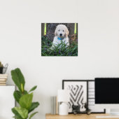 Poster du chien Goldendoodle (Bureau à domicile)