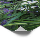 Poster du chien Goldendoodle (Coin)