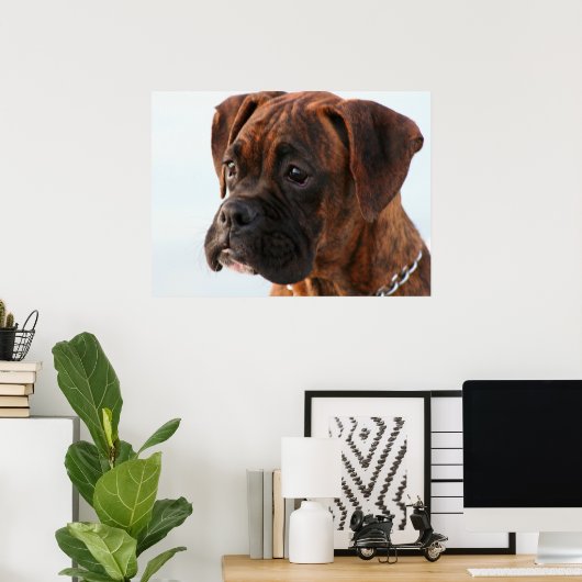 Poster du chiot de boxe (Bureau à domicile)