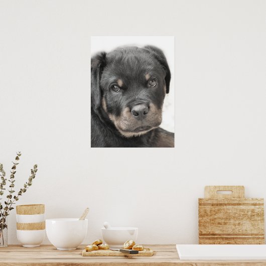 Poster du chiot Rottweiler (Cuisine)