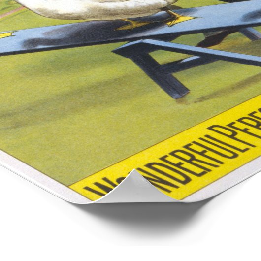 Poster du cirque (Coin)