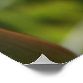 Poster Du coeur (Coin)