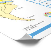 Poster du complexe de subbluxe de la chiropratique (Coin)