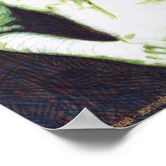 Poster du comte Koma (Coin)