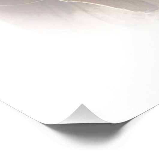 Poster du cône de Larch (Coin)