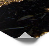 Poster Du Coq À La Ferme (Coin)