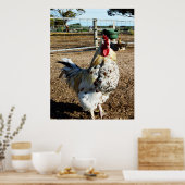 Poster Du Coq À La Ferme (Cuisine)