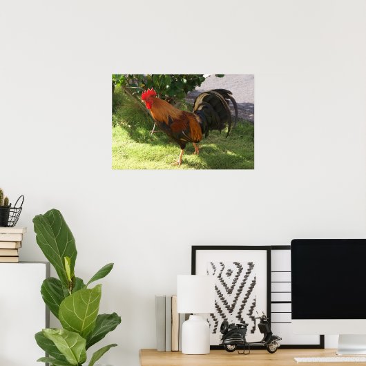 Poster du coq Kauai (Bureau à domicile)