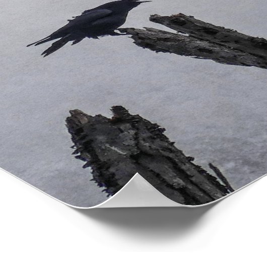 Poster du Corbeau (Coin)