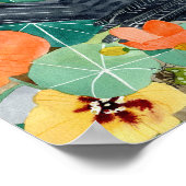 Poster du corbeau et du Nasturtium (Coin)