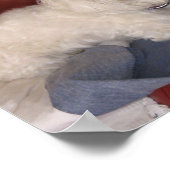 Poster du Cosmo par lin (Coin)