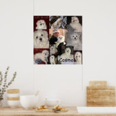 Poster du Cosmo par lin (Cuisine)