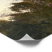 Poster du coucher de soleil avec arbres (Coin)